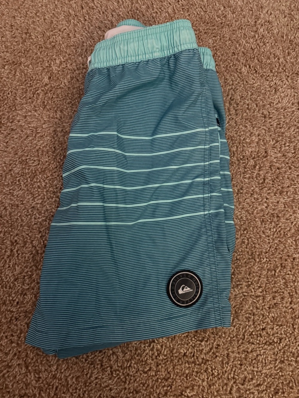 Quiksilver Aqua and Mint Striped men’s Swim Shorts